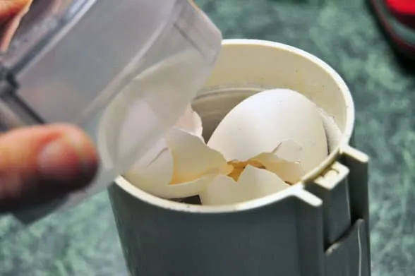 grinding eggshells to make calcium for birds