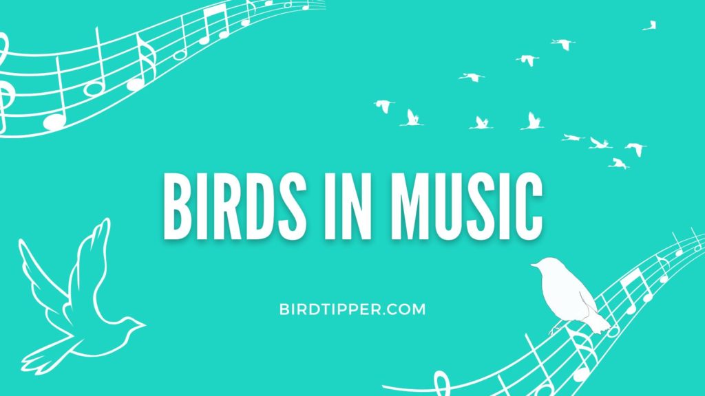Birds in Music, Musicians whose names are a bird and Bands with bird names