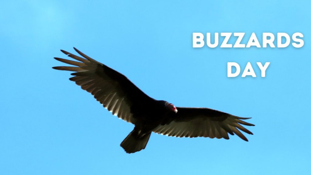 Buzzards Day, celebrated every March 15 in Hinckley Township, Ohio