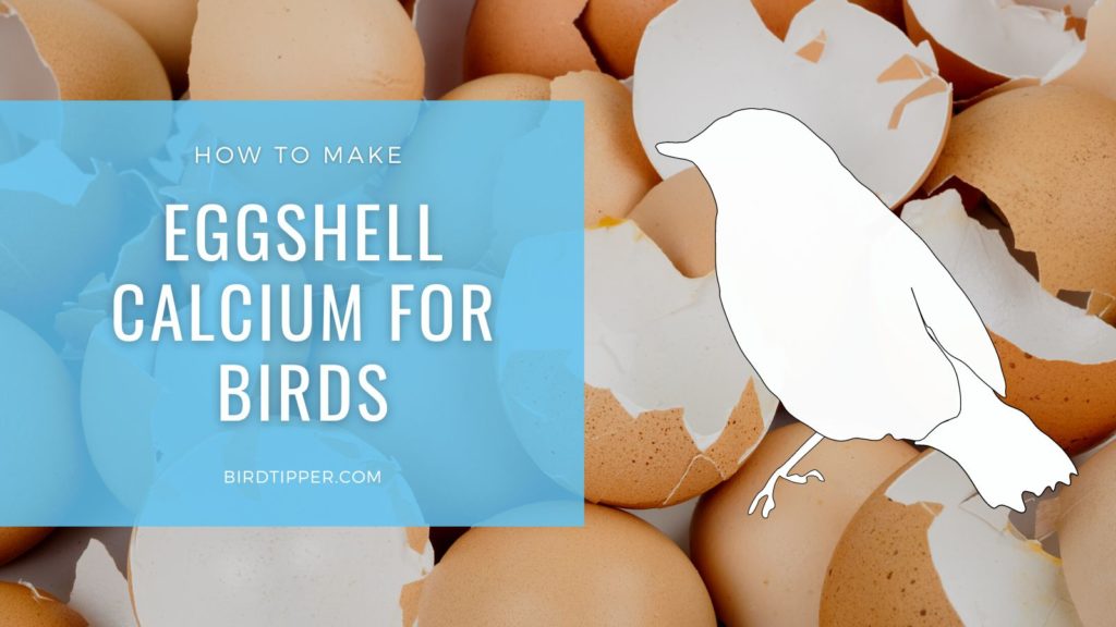 How to make eggshell calcium for wild birds to serve at your bird feeder