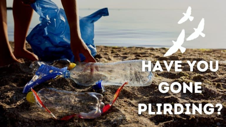 What’s Plirding?