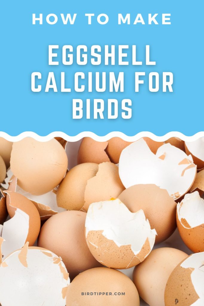 How to make eggshell calcium for birds