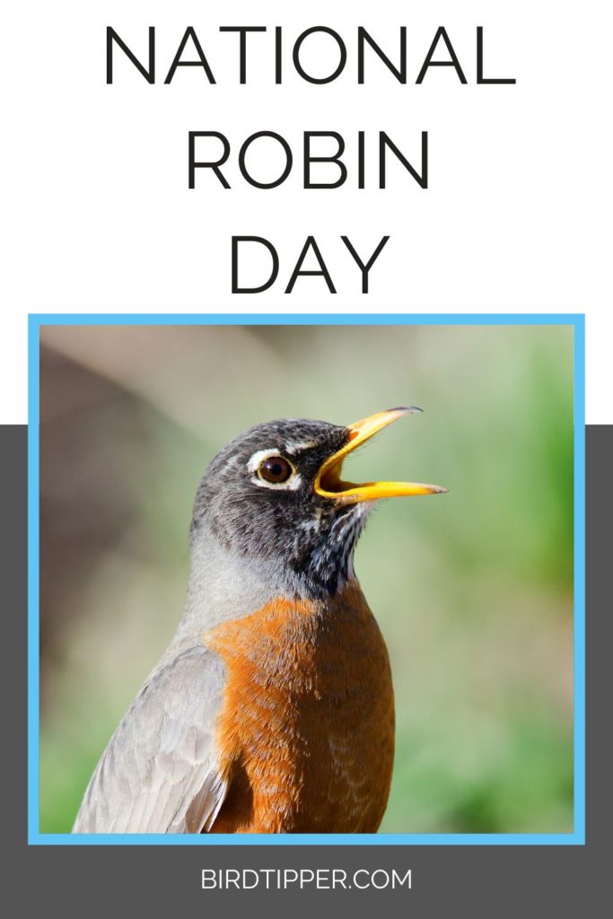 National Robin Day