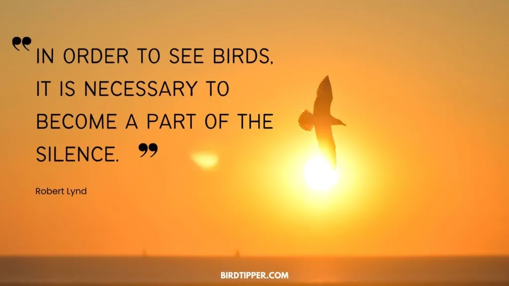 In order to see birds, it is necessary to become a part of the silence. — Robert Lynd