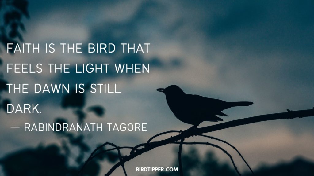 Faith is the bird that feels the light when the dawn is still dark. — Rabindranath Tagore