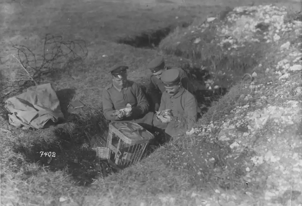 Photograph of the Western Front. Pigeons were used at the front to keep commanders in the rear up to date on the action and enemy movement. (National Archives Identifier 17391468)