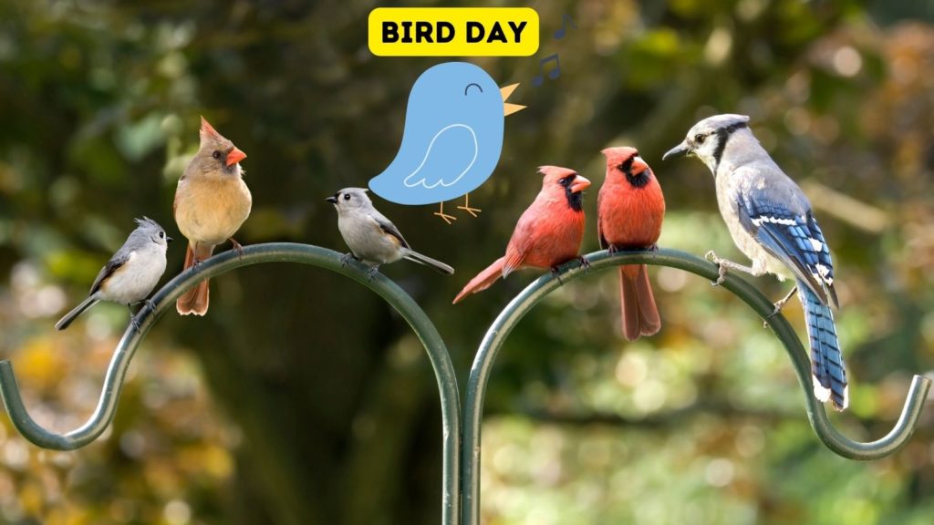 photo of cardinals, titmice and blue jay on pole with cartoon blue bird in center of image and words "Bird Day" at top of image