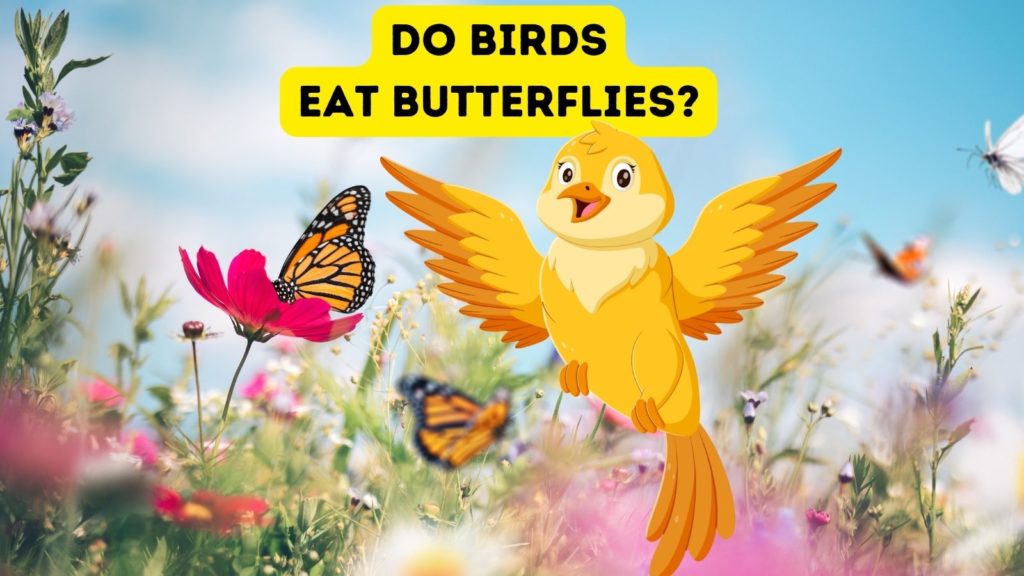 photo of butterflies eating on blooming flowers with yellow cartoon bird in center of image with words do birds eat butterflies at top of image