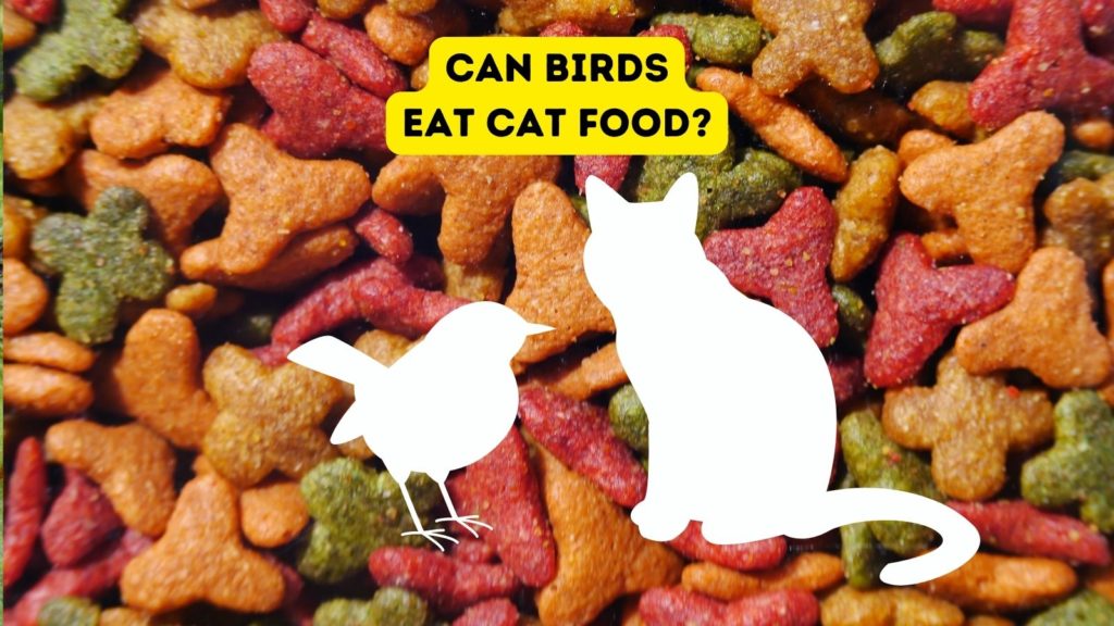 background image of dry cat food with silhouette of bird and cat in foreground