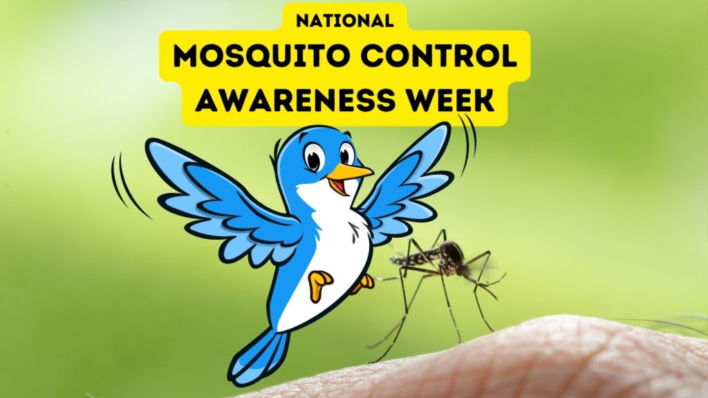 closeup photo of mosquito on man's hand with cartoon blue bird in center of image with words National Mosquito Control Awareness Week at top of image