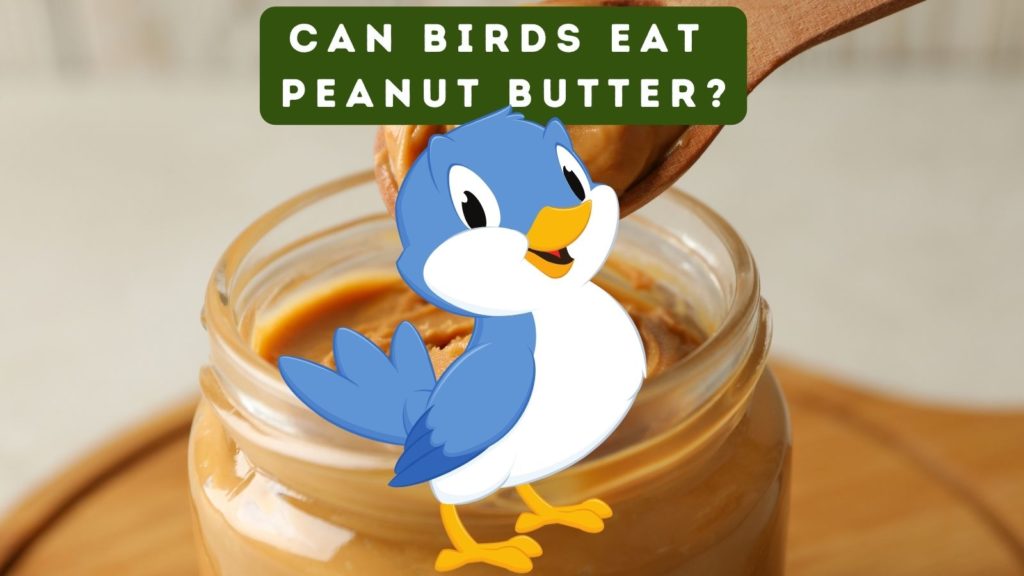 cartoon bird looking at camera with photo of peanut butter jar in background
