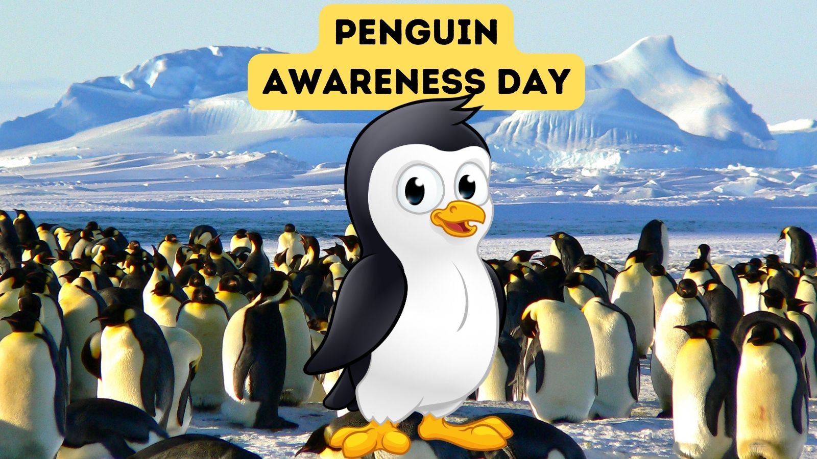 Penguin Awareness Day