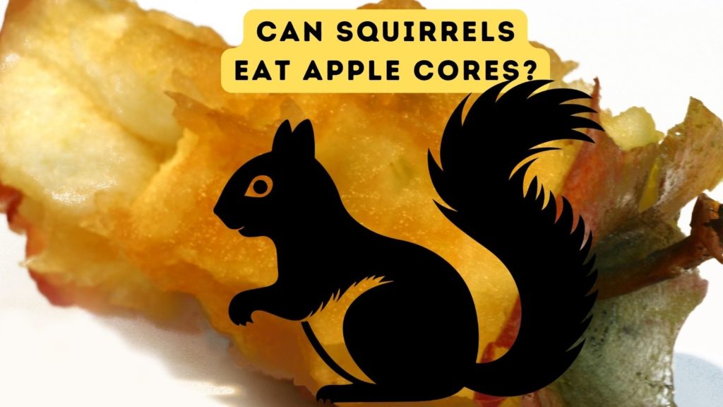 image of apple core with silhouette of squirrel in center of image