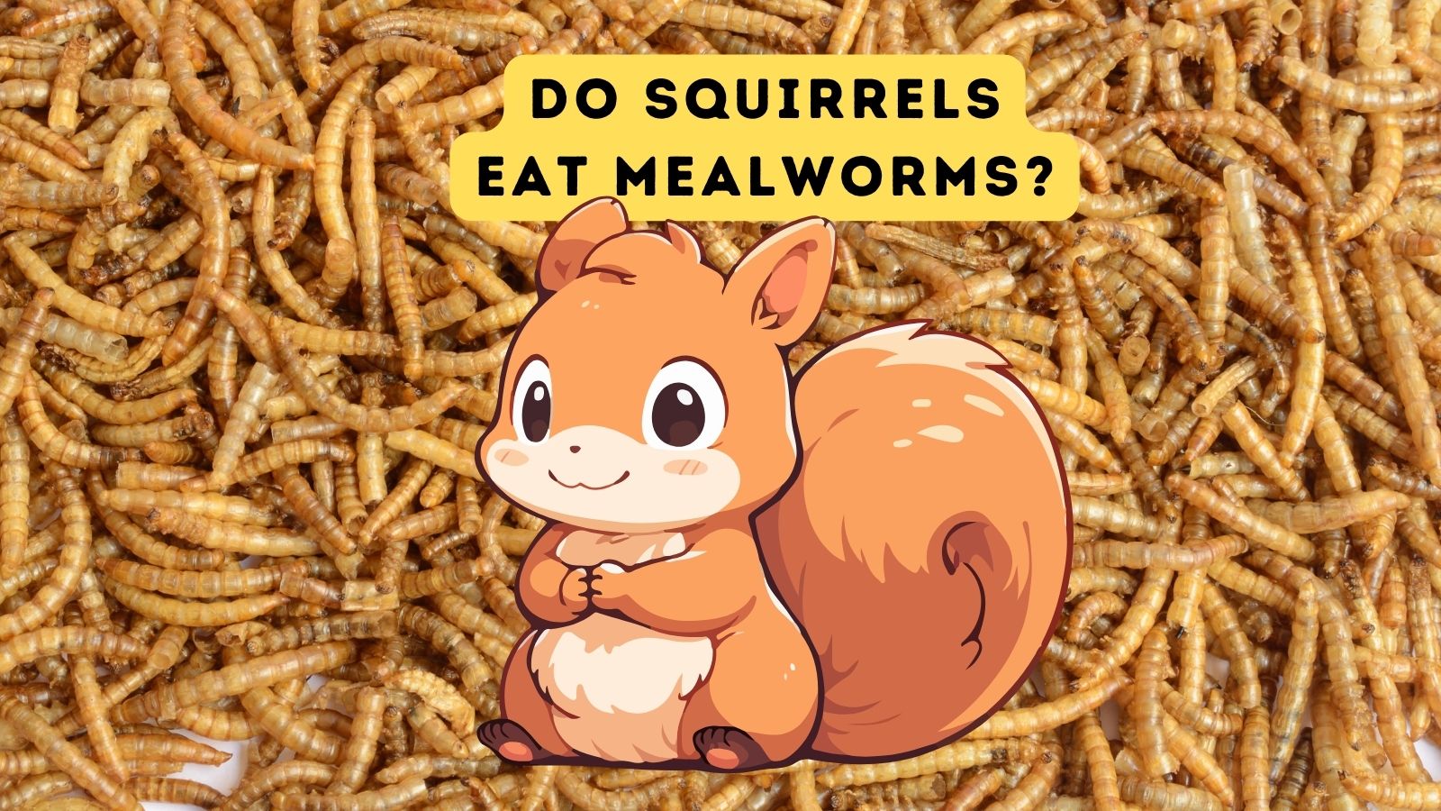 Can squirrels eat cashews 