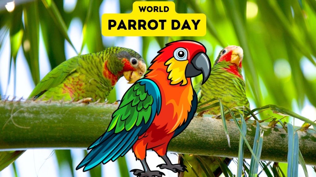 photo of Cayman parrots with a cartoon parrot in center of image and words "World Parrot Day" at top of image