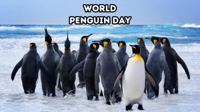 World Penguin Day