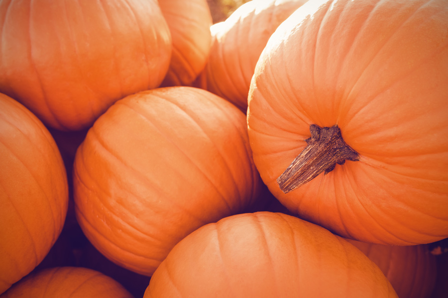 stack of pumpkins