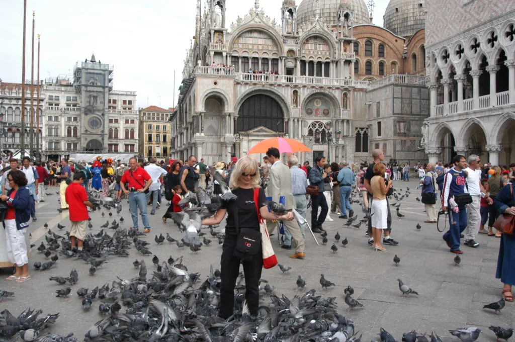 photo of people feeding pigeons at St. Marks Square, Venice, Italy