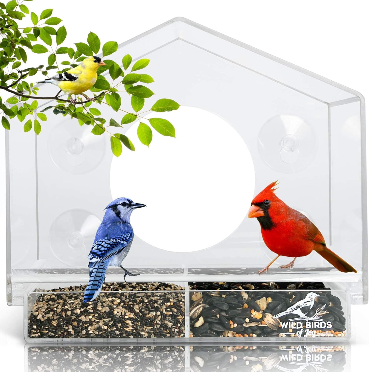 online contests, sweepstakes and giveaways - Giveaway - Win a Window Bird Feeder!
