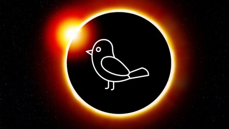 What Do Birds Do During an Eclipse?