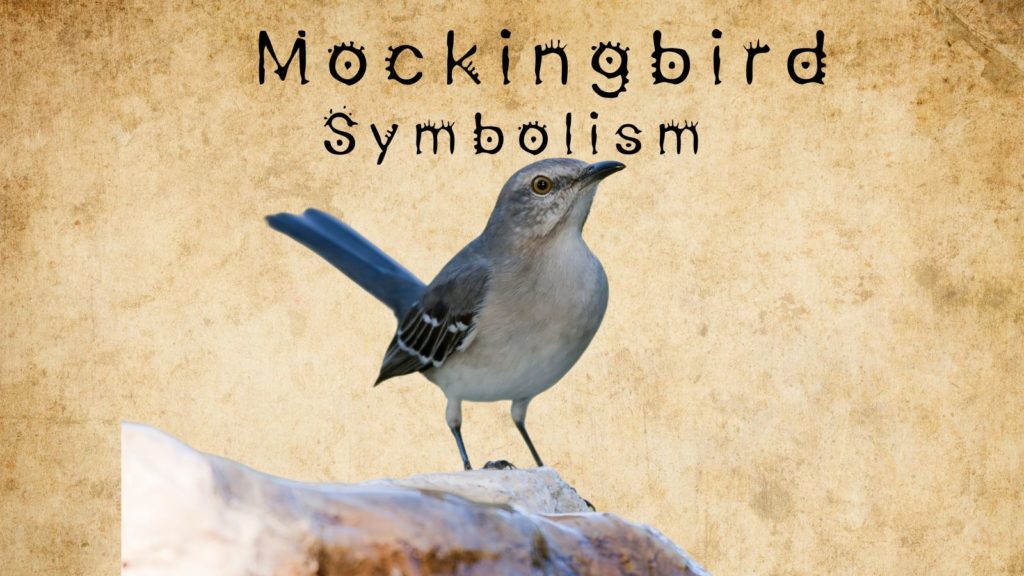 photo of mockingbird against a parchment background with words mockingbird symbolism at top of image