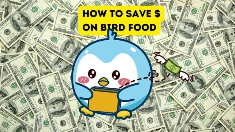 How to Save Money on Bird Food