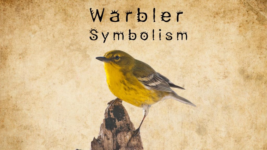image of yellow warbler with words Warbler Symbolism at top of image