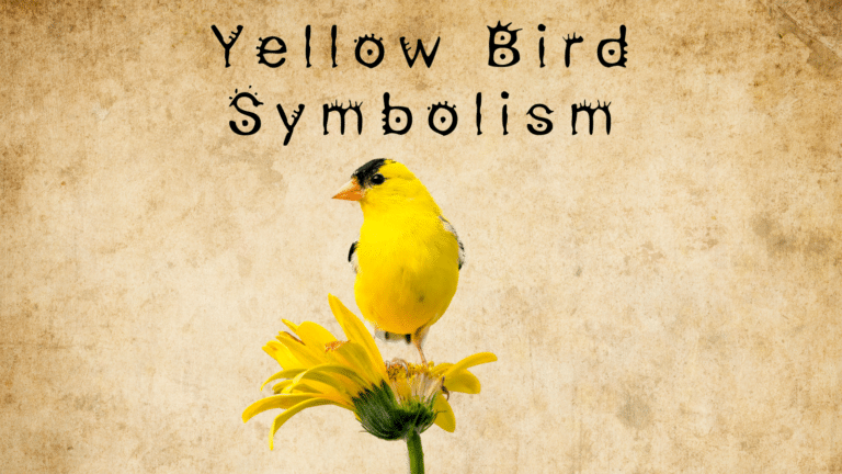 What Does It Mean to See a Yellow Bird?